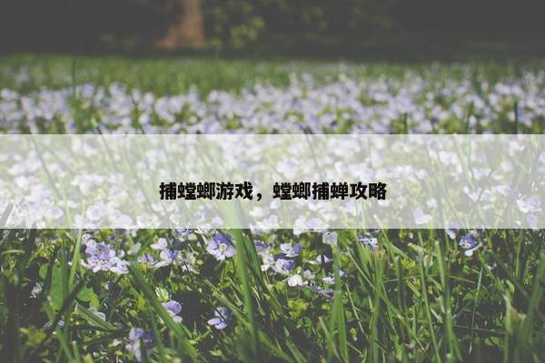 捕螳螂游戏，螳螂捕蝉攻略
