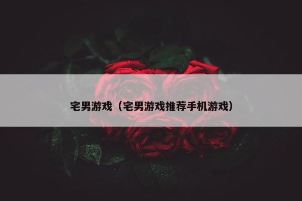 宅男游戏（宅男游戏推荐手机游戏）