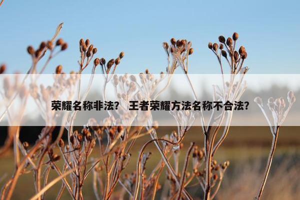 荣耀名称非法？ 王者荣耀方法名称不合法？