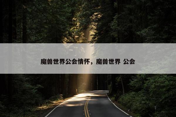 魔兽世界公会情怀，魔兽世界 公会
