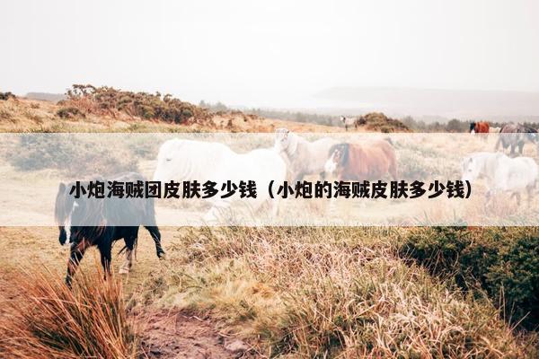 小炮海贼团皮肤多少钱（小炮的海贼皮肤多少钱）