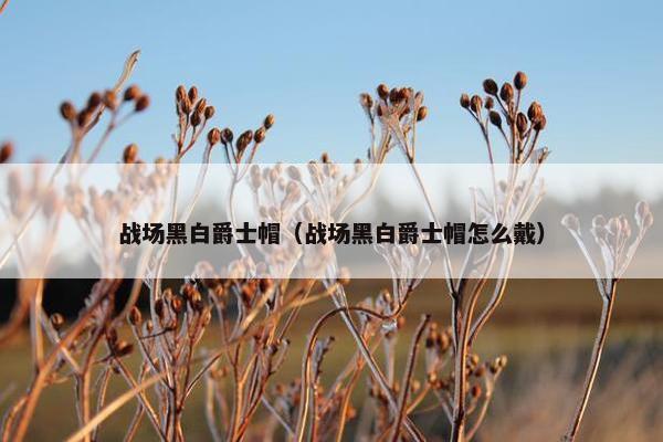 战场黑白爵士帽（战场黑白爵士帽怎么戴）