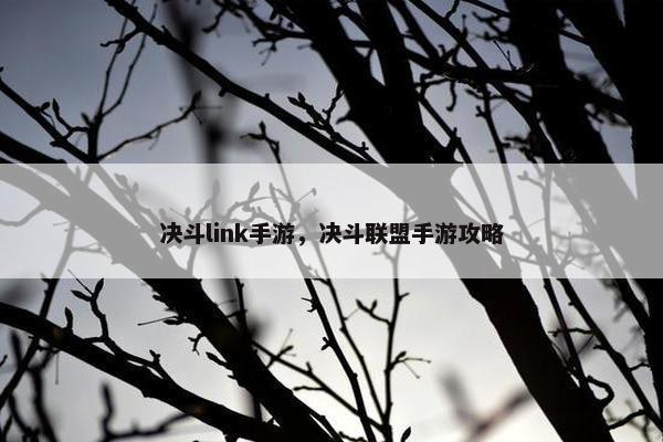 决斗link手游，决斗联盟手游攻略