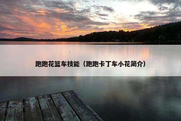 跑跑花篮车技能（跑跑卡丁车小花简介）