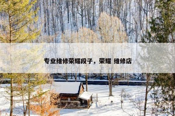 专业维修荣耀段子，荣耀 维修店