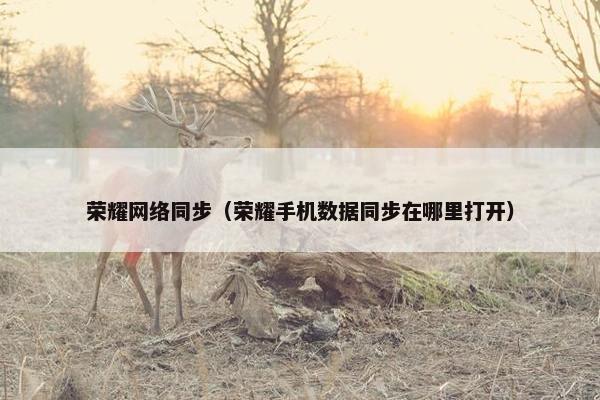 荣耀网络同步（荣耀手机数据同步在哪里打开）