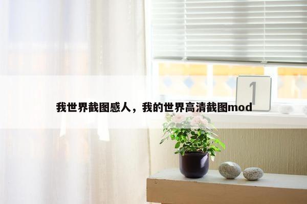 我世界截图感人，我的世界高清截图mod