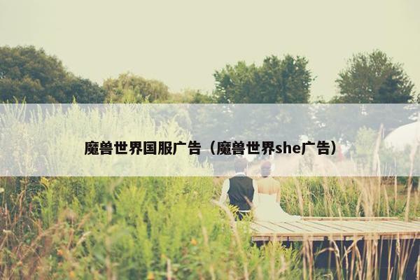魔兽世界国服广告（魔兽世界she广告）