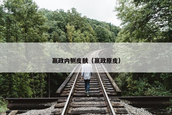 赢政内侧皮肤（赢政原皮）