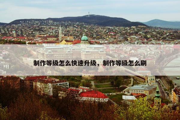 制作等级怎么快速升级，制作等级怎么刷