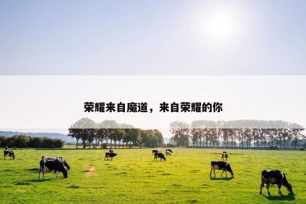 荣耀来自魔道，来自荣耀的你