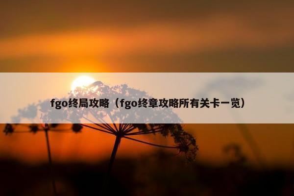 fgo终局攻略（fgo终章攻略所有关卡一览）