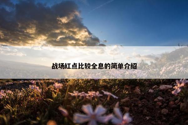 战场红点比较全息的简单介绍
