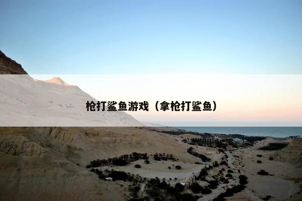 枪打鲨鱼游戏（拿枪打鲨鱼）