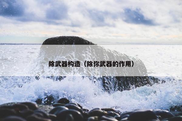 除武器构造（除你武器的作用）