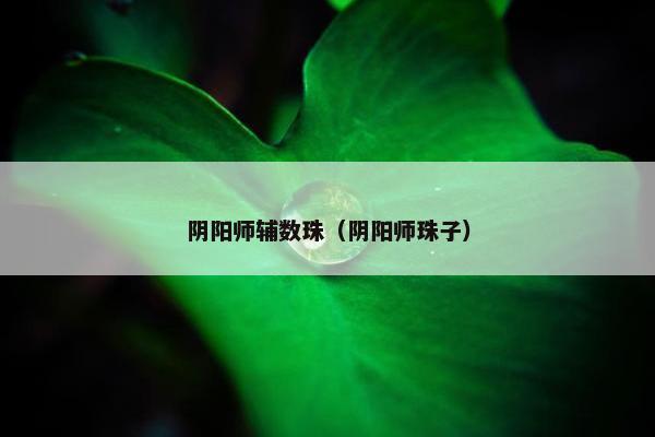 阴阳师辅数珠（阴阳师珠子）