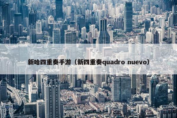 新哈四重奏手游（新四重奏quadro nuevo）
