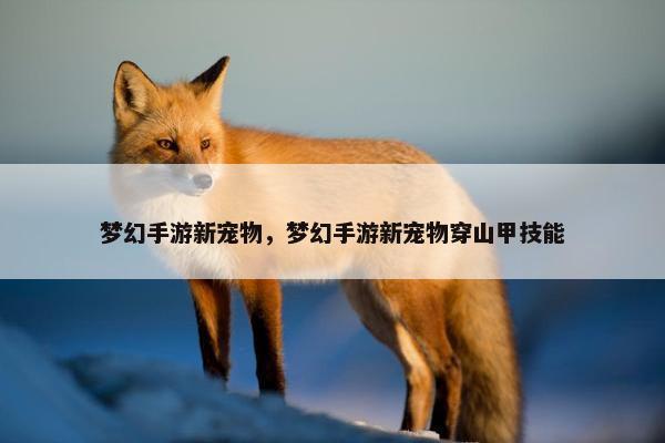 梦幻手游新宠物，梦幻手游新宠物穿山甲技能