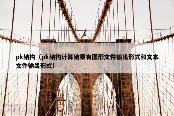 pk结构（pk结构计算结果有图形文件输出形式和文本文件输出形式）