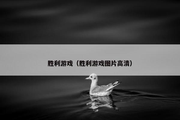 胜利游戏（胜利游戏图片高清）