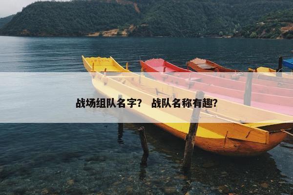 战场组队名字？ 战队名称有趣？