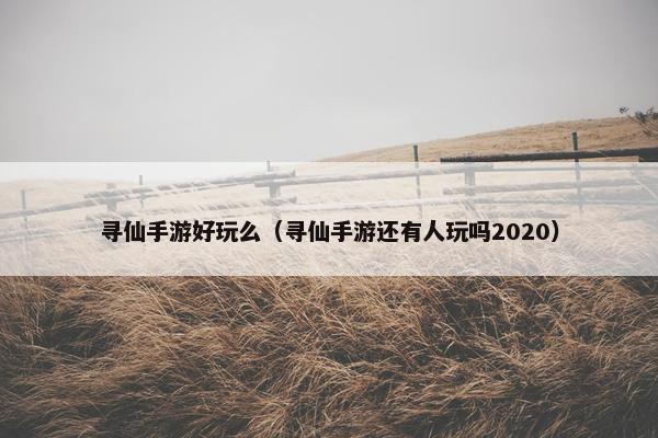 寻仙手游好玩么（寻仙手游还有人玩吗2020）
