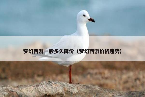 梦幻西游一般多久降价（梦幻西游价格趋势）
