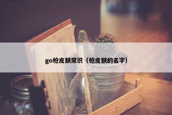 go枪皮肤常识（枪皮肤的名字）