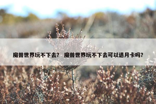 魔兽世界玩不下去？ 魔兽世界玩不下去可以退月卡吗？