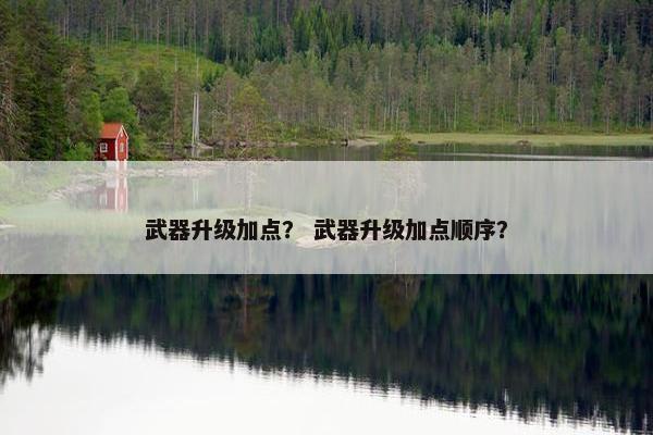 武器升级加点？ 武器升级加点顺序？