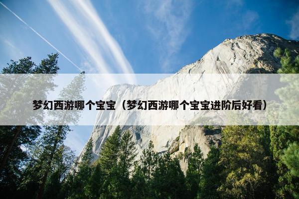 梦幻西游哪个宝宝（梦幻西游哪个宝宝进阶后好看）
