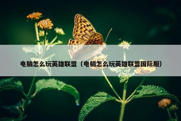 电脑怎么玩英雄联盟（电脑怎么玩英雄联盟国际服）