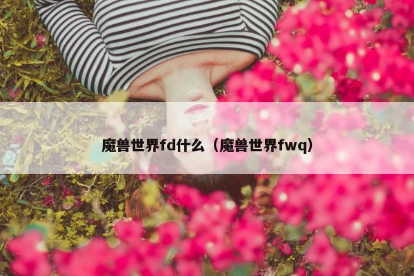 魔兽世界fd什么（魔兽世界fwq）