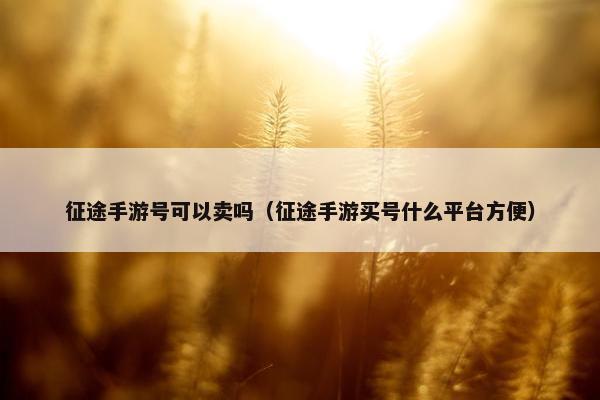 征途手游号可以卖吗（征途手游买号什么平台方便）