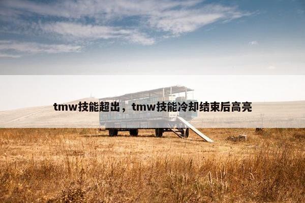 tmw技能超出，tmw技能冷却结束后高亮