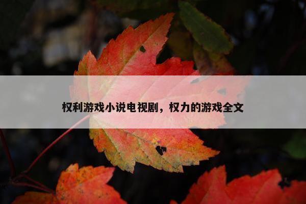 权利游戏小说电视剧，权力的游戏全文