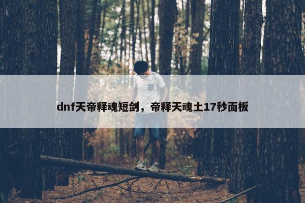 dnf天帝释魂短剑，帝释天魂土17秒面板