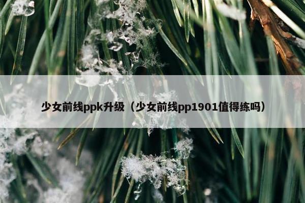 少女前线ppk升级（少女前线pp1901值得练吗）