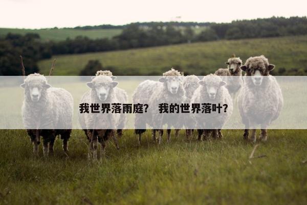 我世界落雨庭？ 我的世界落叶？