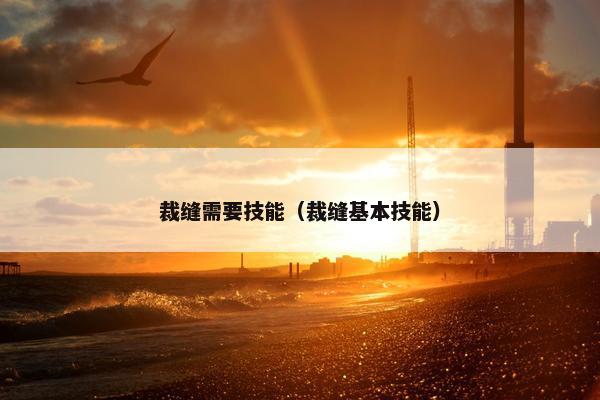 裁缝需要技能（裁缝基本技能）