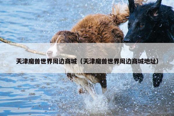 天津魔兽世界周边商城（天津魔兽世界周边商城地址）