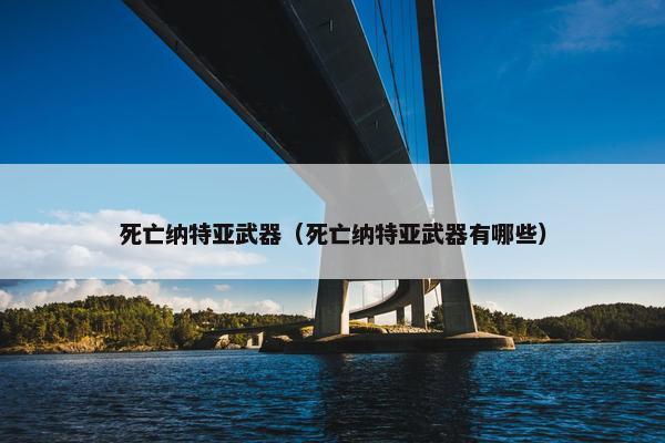 死亡纳特亚武器（死亡纳特亚武器有哪些）