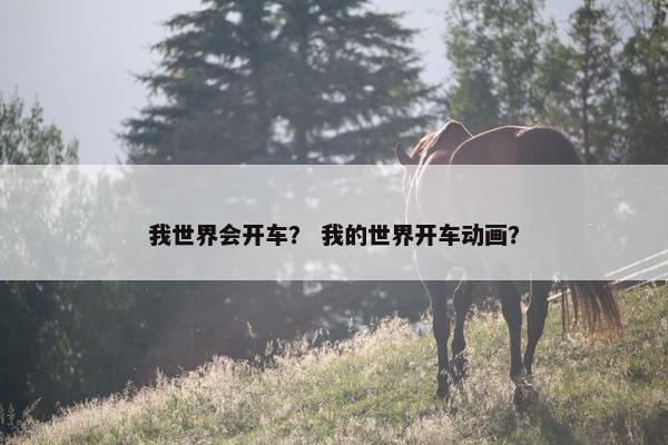 我世界会开车？ 我的世界开车动画？