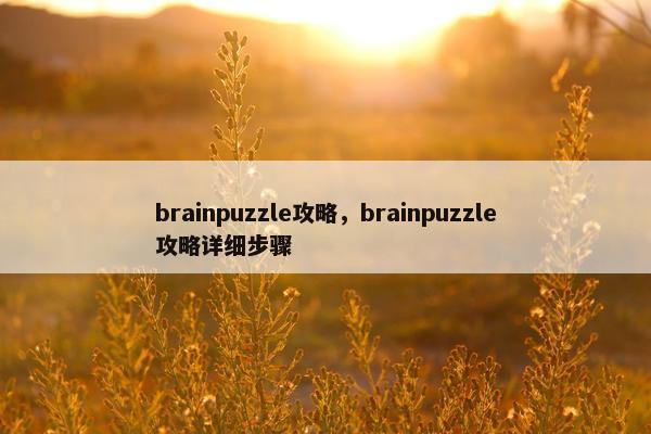 brainpuzzle攻略，brainpuzzle攻略详细步骤