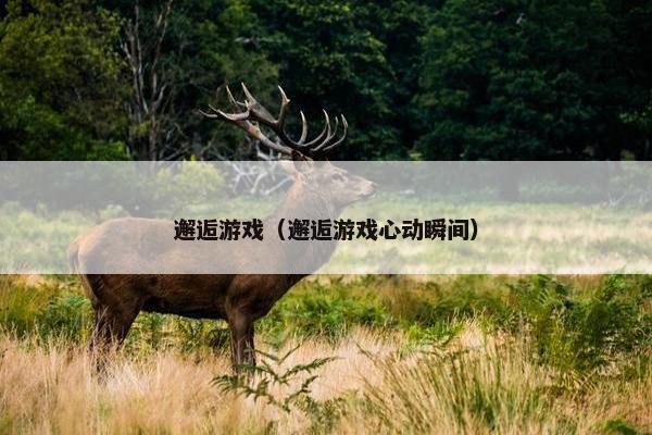 邂逅游戏（邂逅游戏心动瞬间）