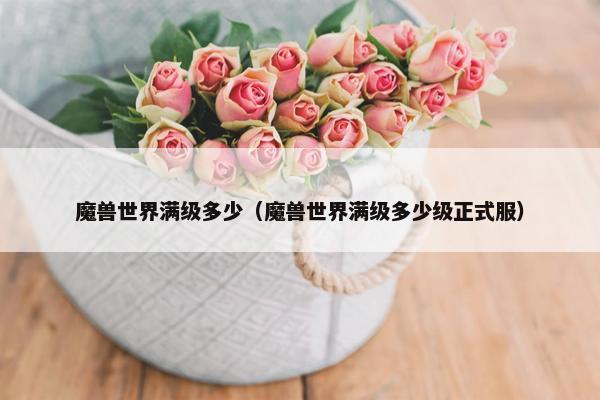 魔兽世界满级多少（魔兽世界满级多少级正式服）
