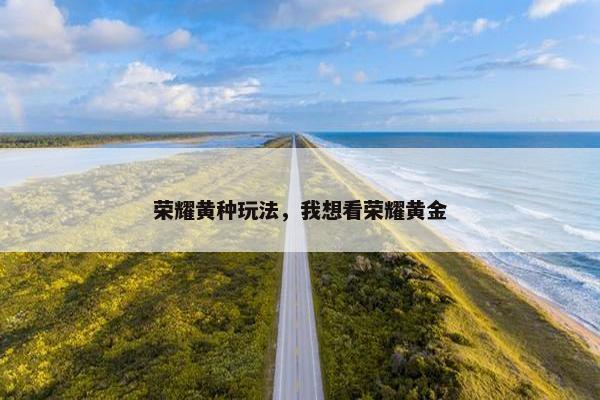 荣耀黄种玩法，我想看荣耀黄金