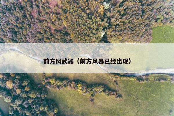 前方风武器（前方风暴已经出现）