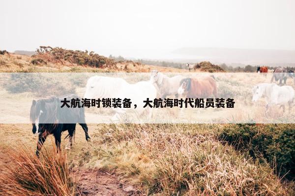 大航海时锁装备，大航海时代船员装备