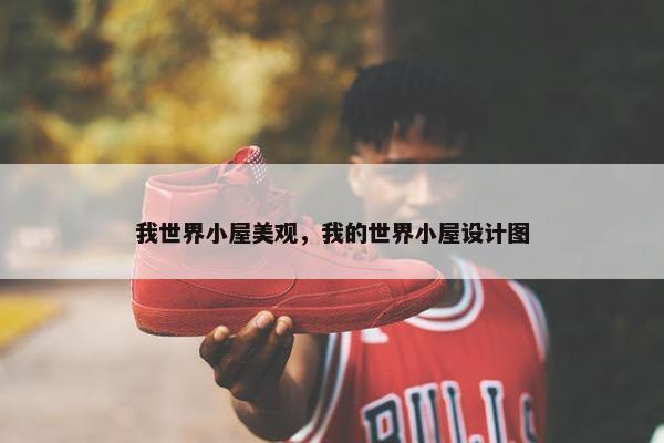 我世界小屋美观，我的世界小屋设计图